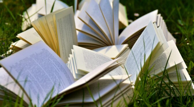 Naujos knygos, kurios atspindi šiuolaikinės Lietuvos realijas